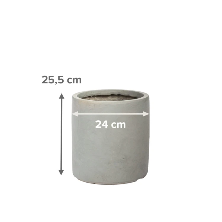 11554