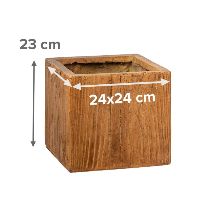 11596